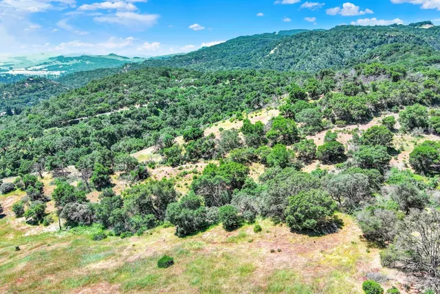 a view of a yard with plants and a bench