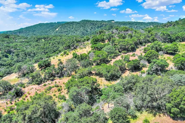 a view of a big yard with lots of green space