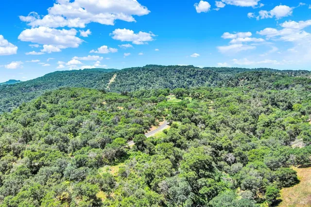 a view of a city with lush green forest