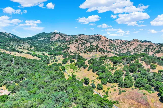 a view of yard with large trees and plants