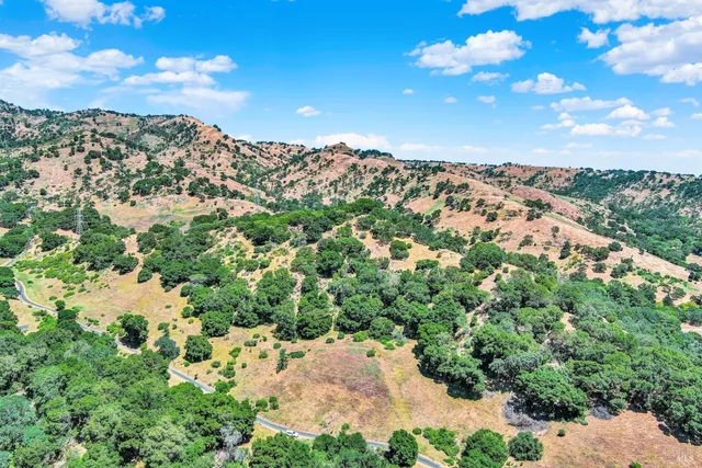 a view of a backyard with plants and outdoor seating