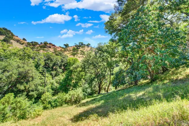 a view of a street view