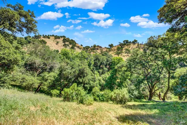 a wooden bench with view of trees