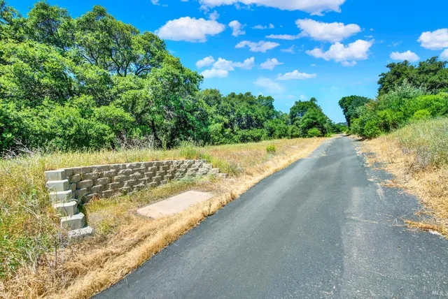 a view of a pathway with a yard