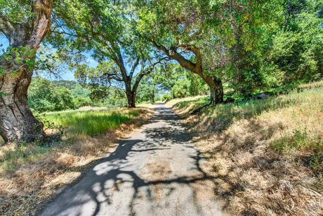 a view of a mountain in the distance covered with snow