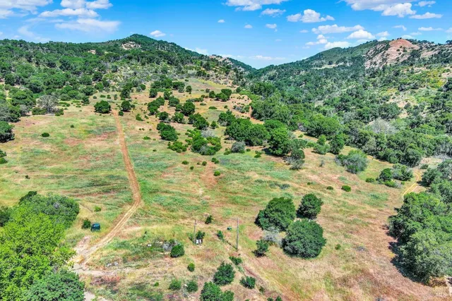 a view of a field with an ocean