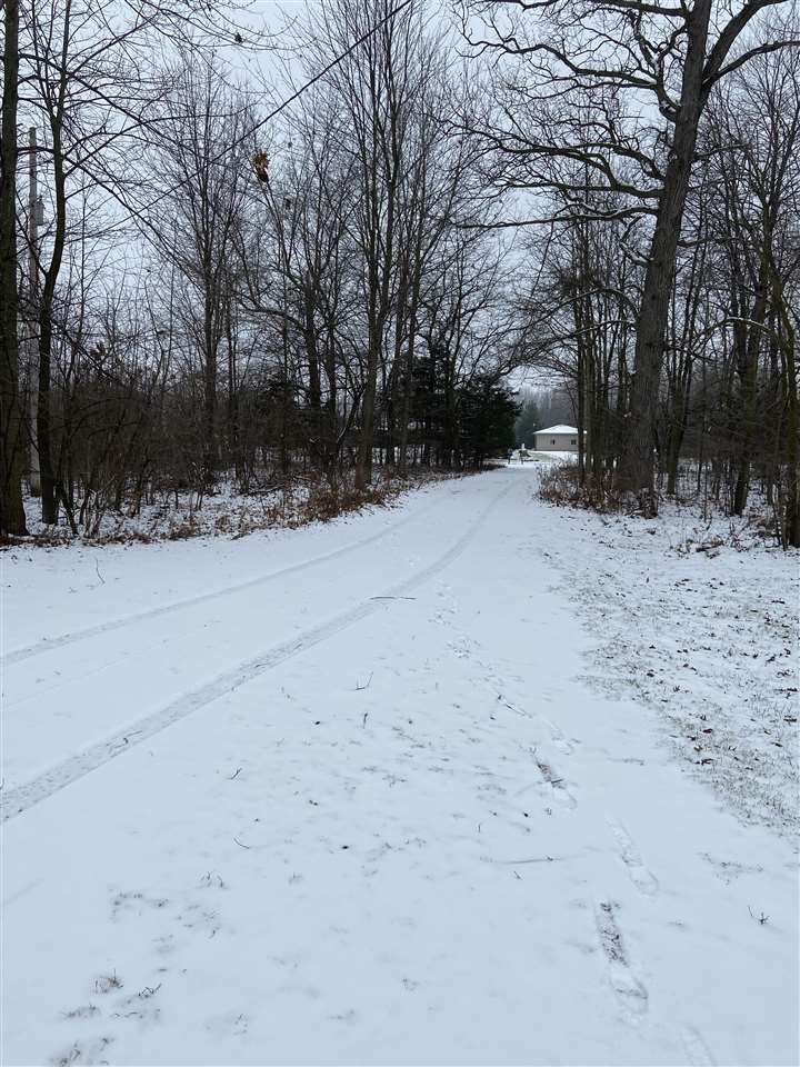 2180 North Iva Road Hemlock, MI 48626 - Photo 12 of 13