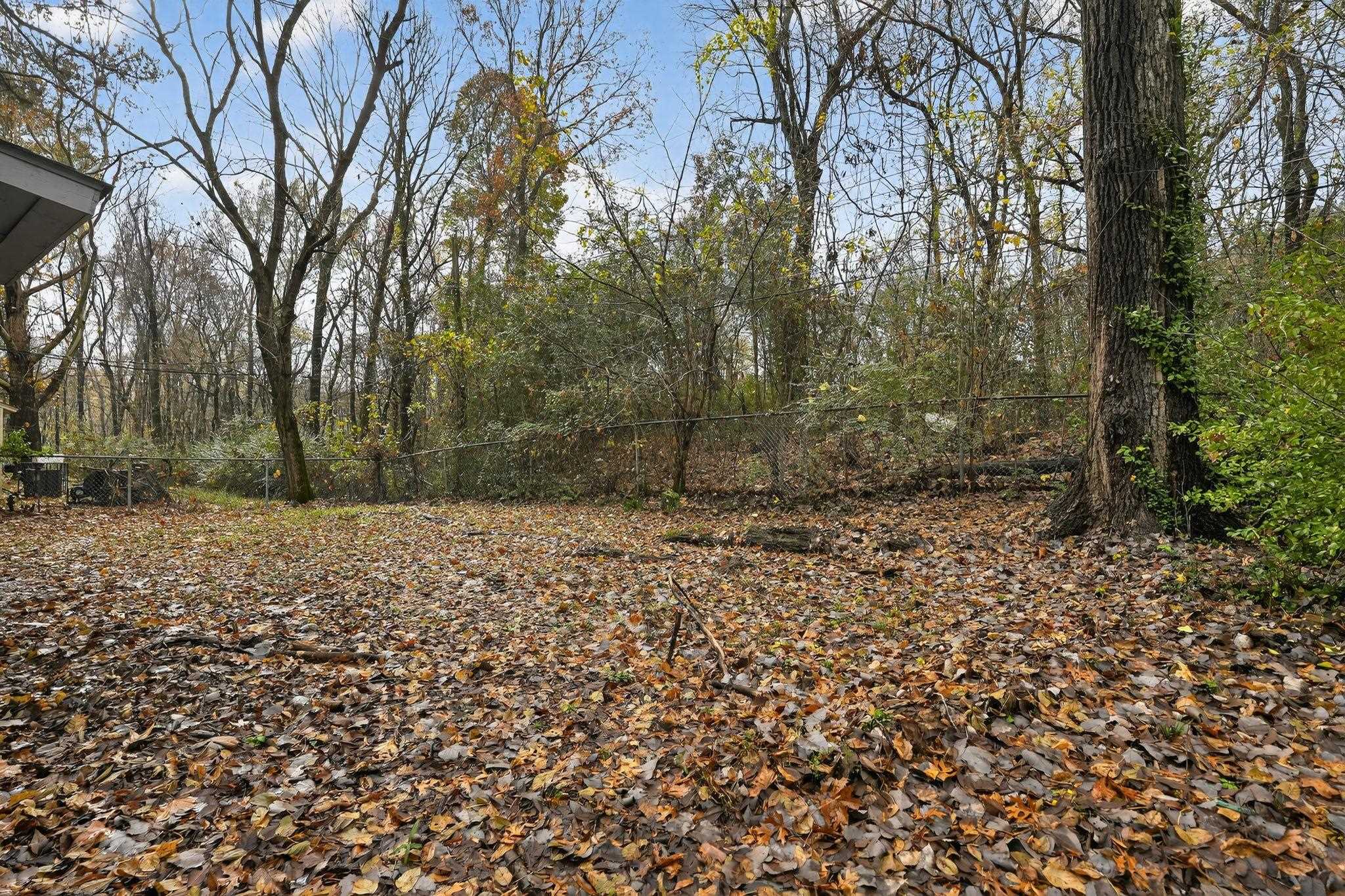 3981 Maynard Drive Memphis, TN 38109 - Photo 28 of 31 a backyard of a house with lots of green space