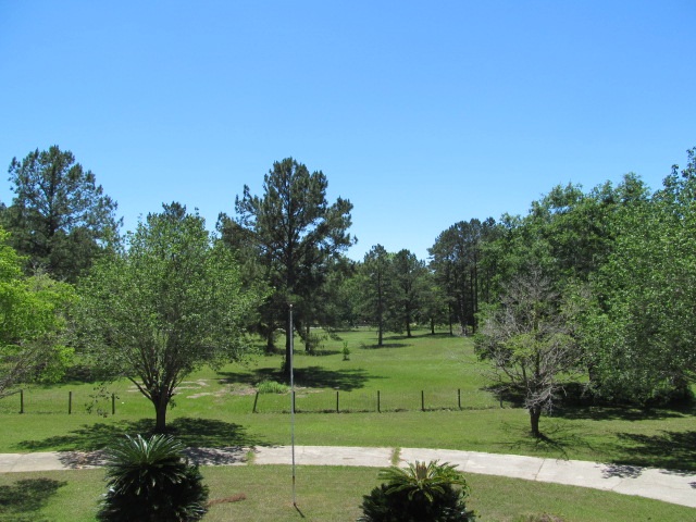 8094 Buck Lake Road Tallahassee, FL 32317 - Photo 12 of 35 Gallery Image 12