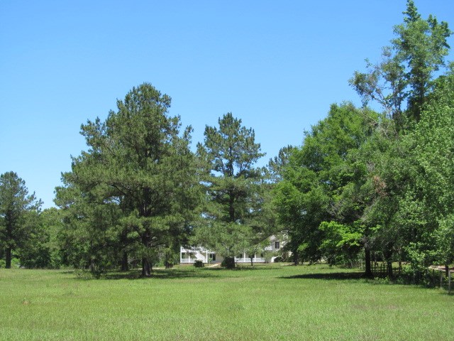 8094 Buck Lake Road Tallahassee, FL 32317 - Photo 8 of 35 Gallery Image 8