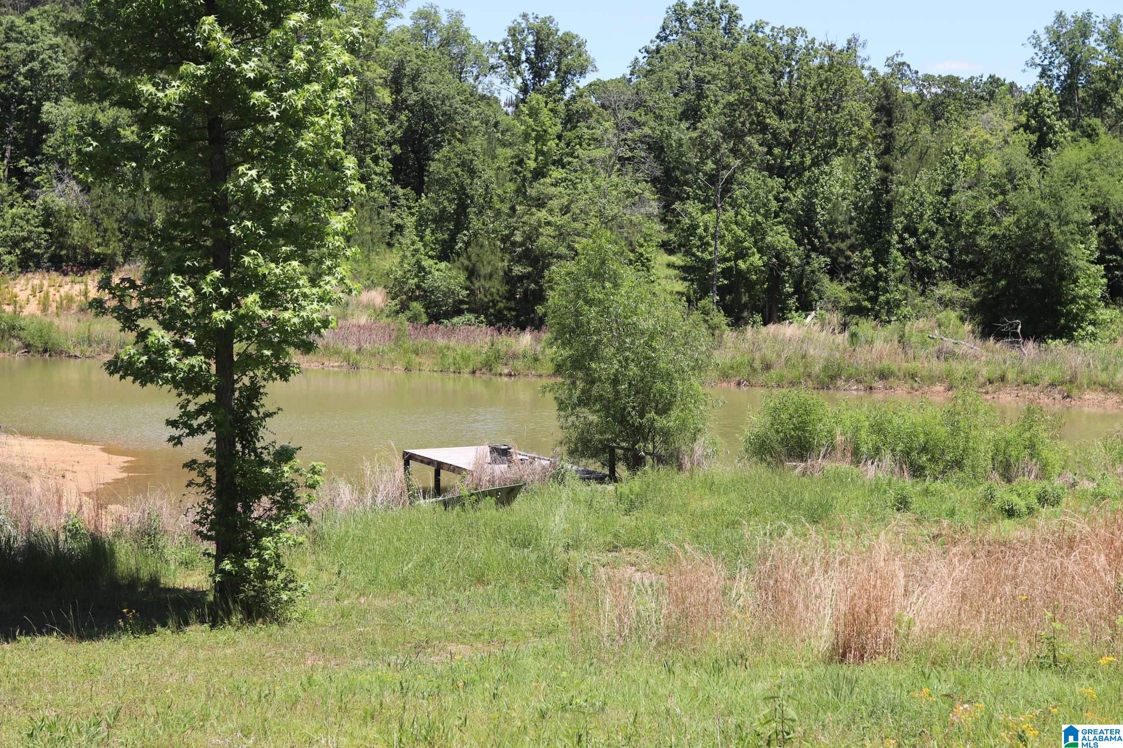 2930 Shocco Springs Road Talladega, AL 35160 - Photo 67 of 93