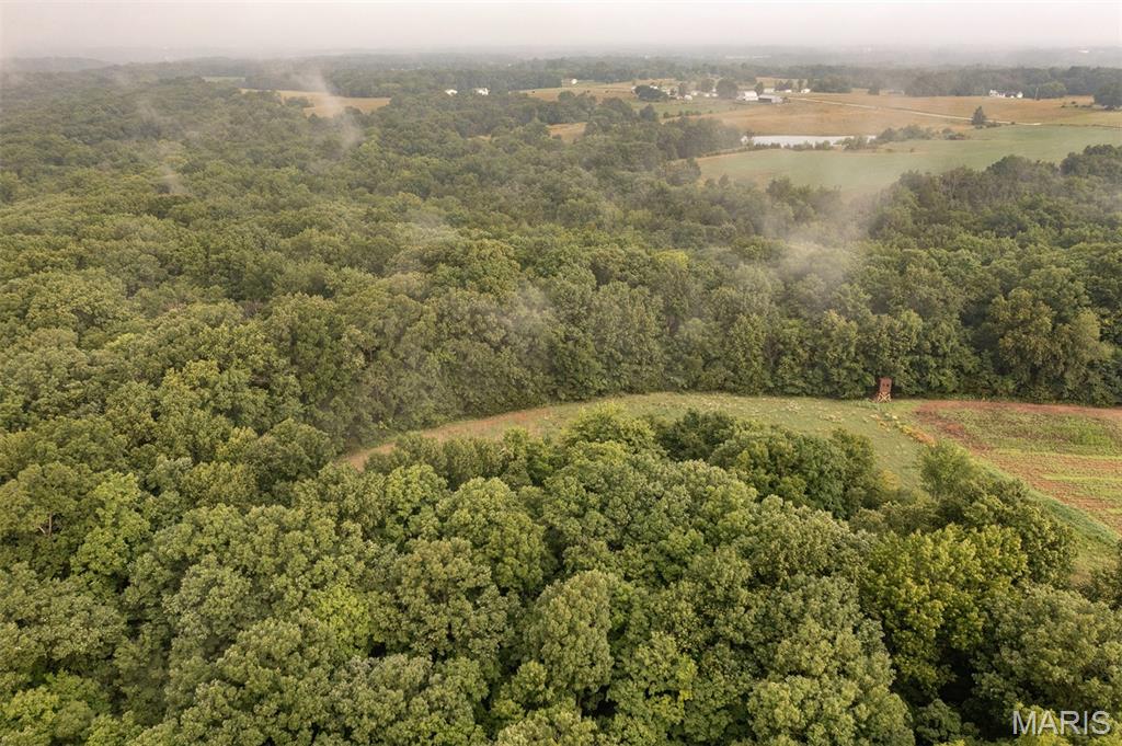 0 Cuivre Ford Road Troy, MO 63379 - Photo 32 of 35