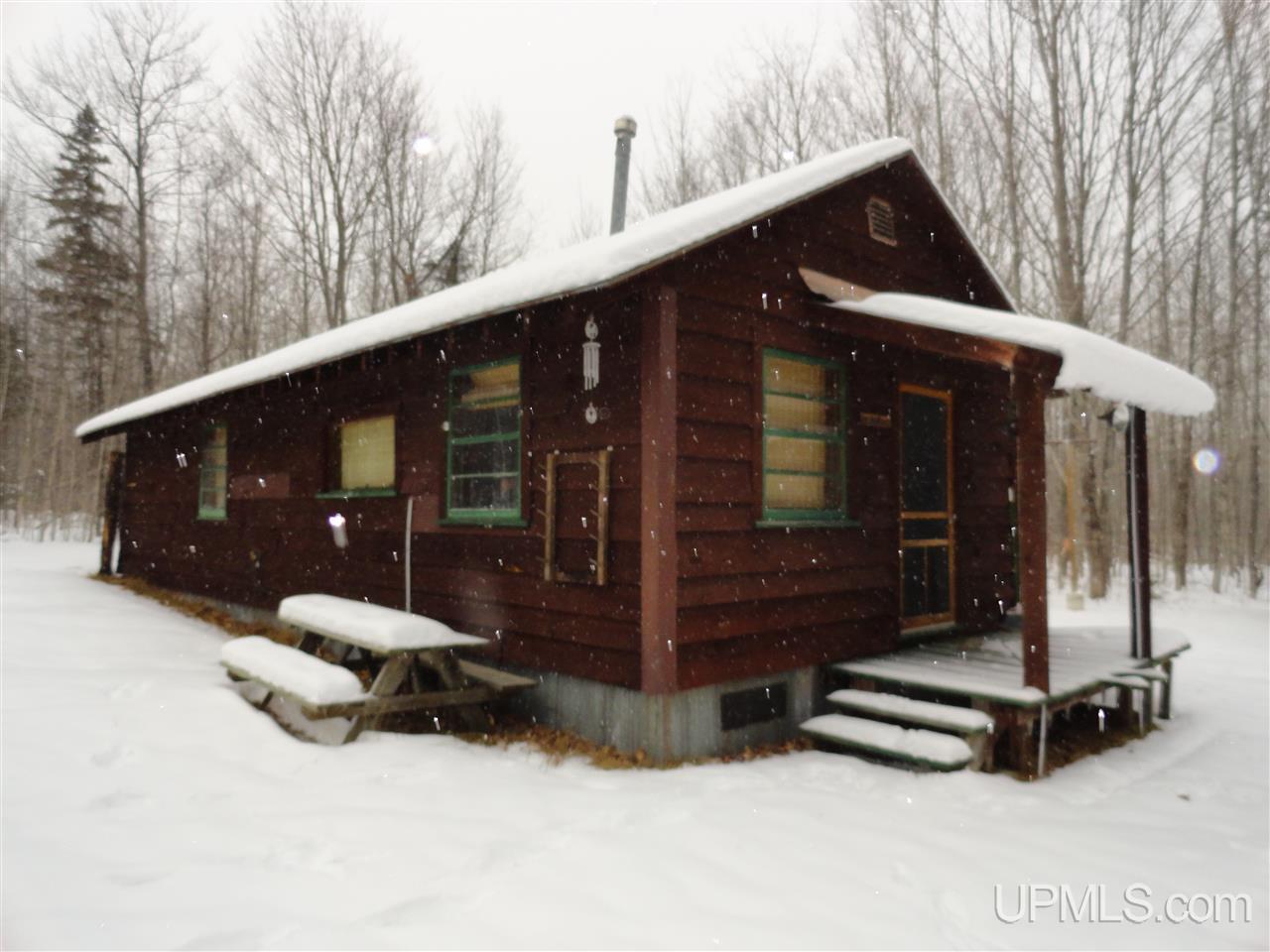 160-acres Off Co Rd 557 Arnold, MI 49819 - Photo 1 of 22