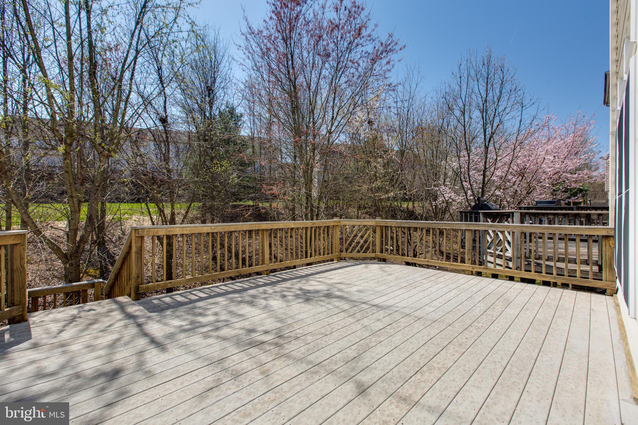 10621 Hillingdon Road Woodstock, MD 21163 - Photo 22 of 40 Large Deck-Tree View