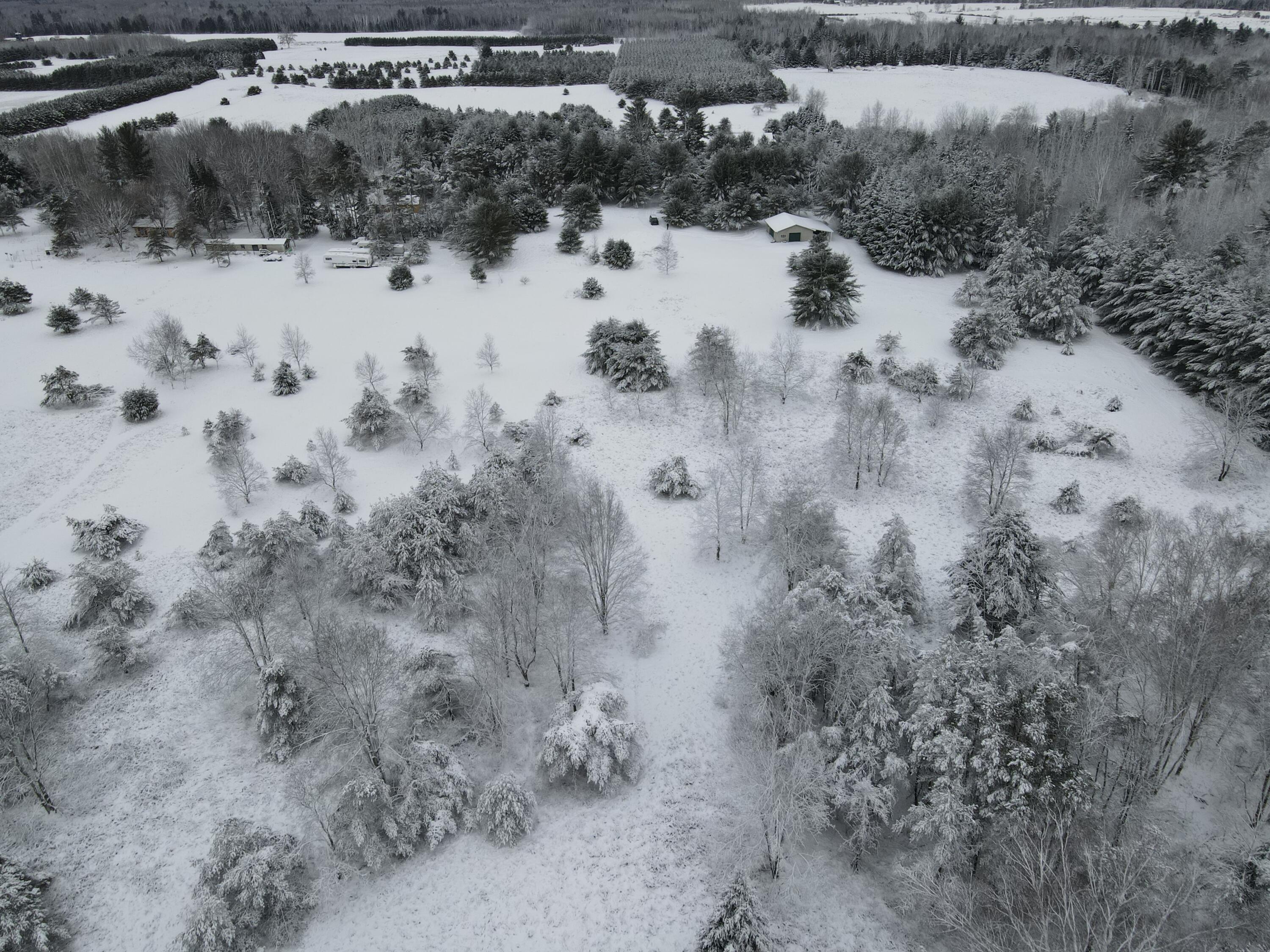 3301 Wissmiller Road Mikado, MI 48745 - Photo 12 of 47 DJI_0004