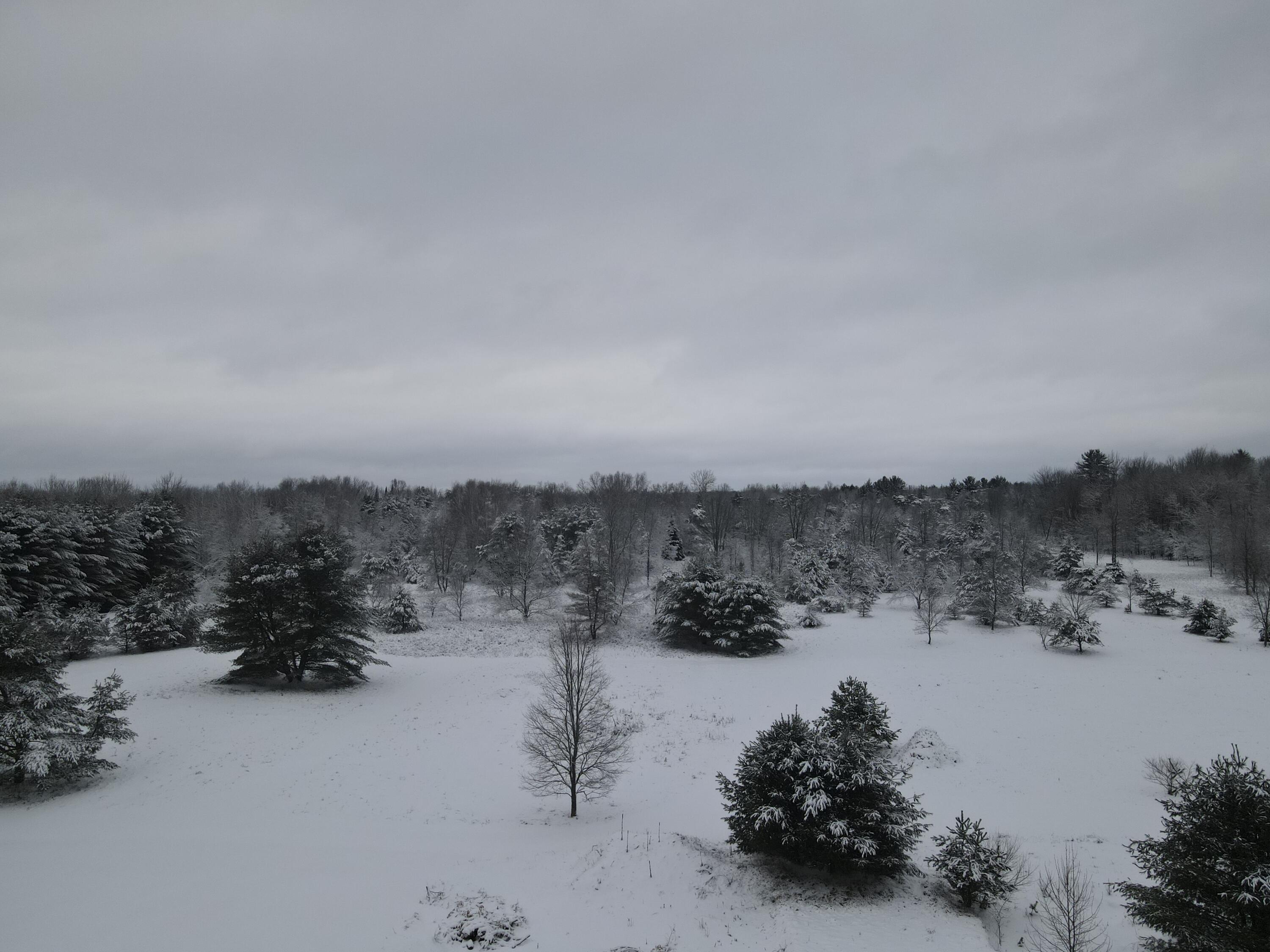 3301 Wissmiller Road Mikado, MI 48745 - Photo 14 of 47 DJI_0967