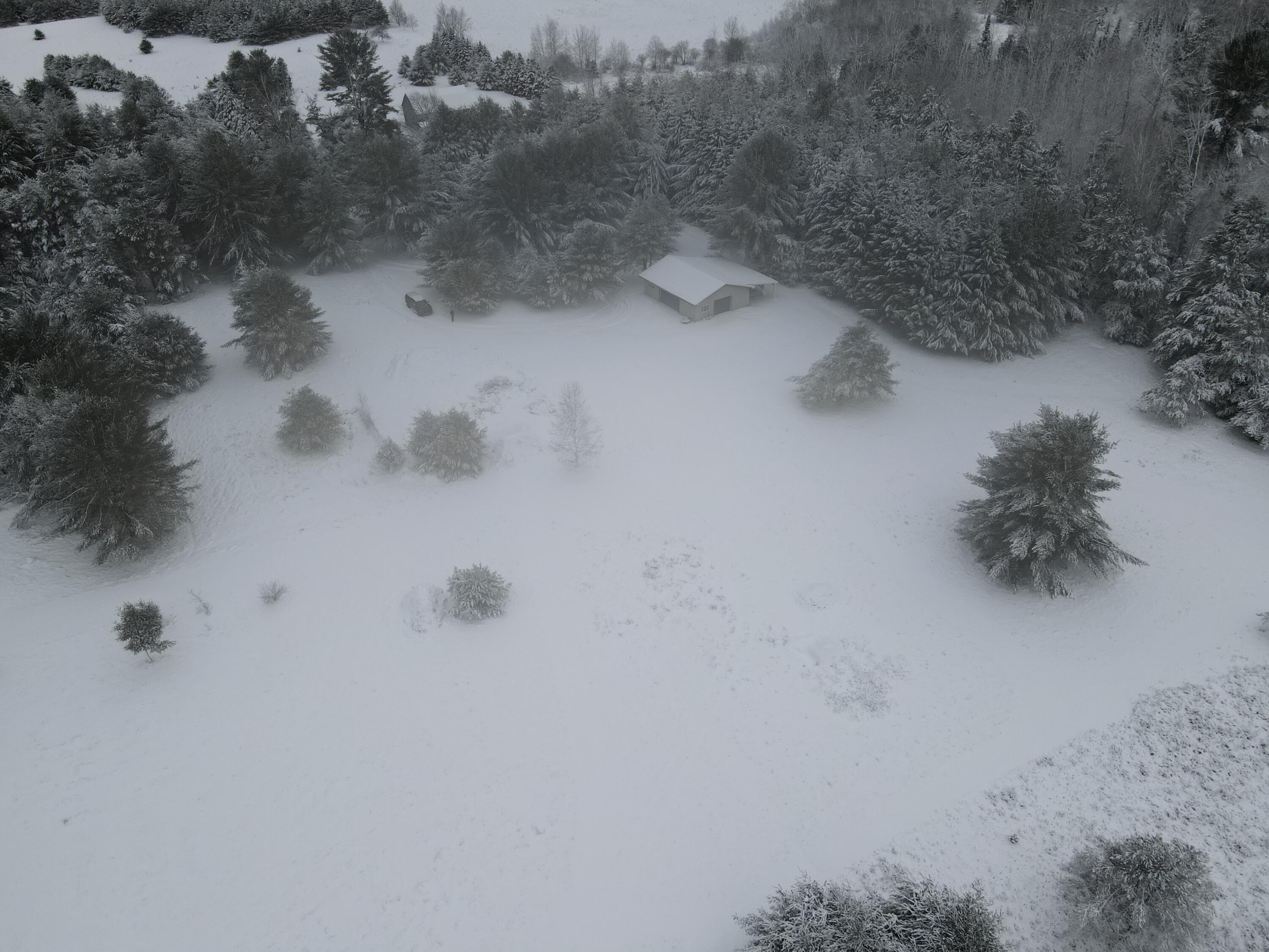 3301 Wissmiller Road Mikado, MI 48745 - Photo 16 of 47 DJI_0980
