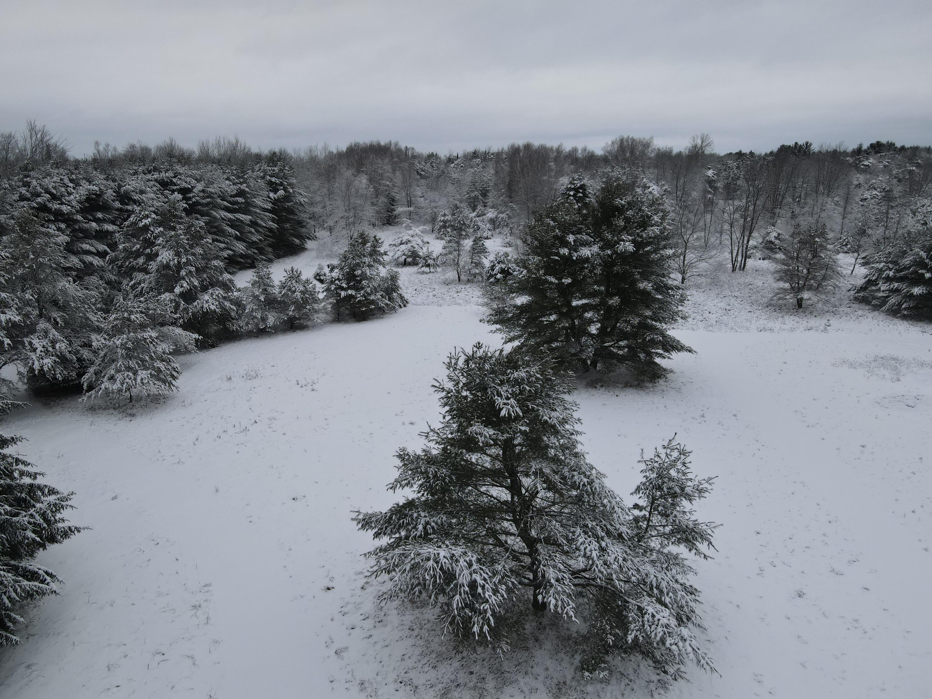 3301 Wissmiller Road Mikado, MI 48745 - Photo 17 of 47 DJI_0992