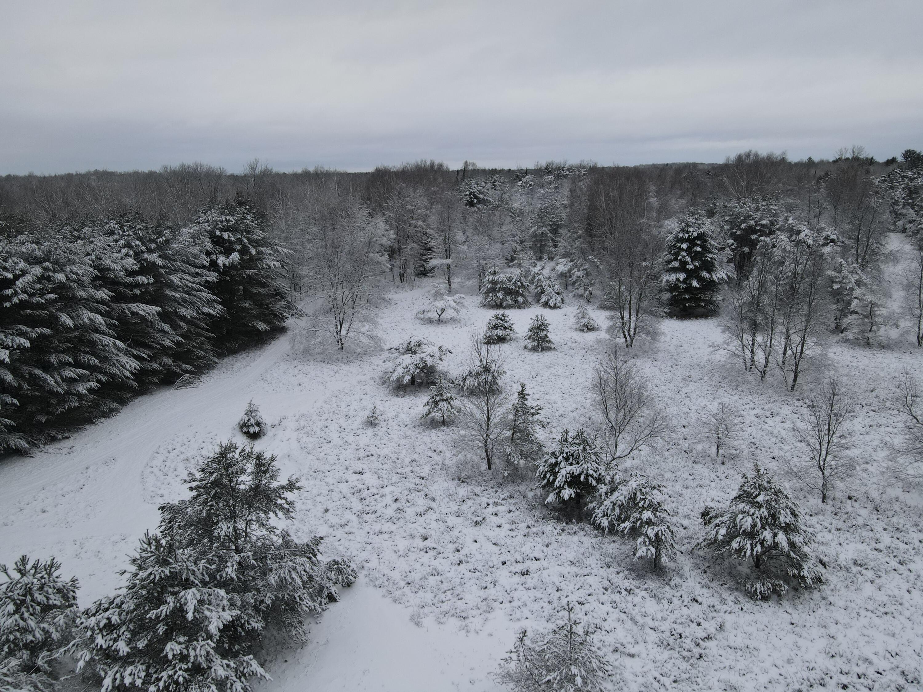 3301 Wissmiller Road Mikado, MI 48745 - Photo 18 of 47 DJI_0993
