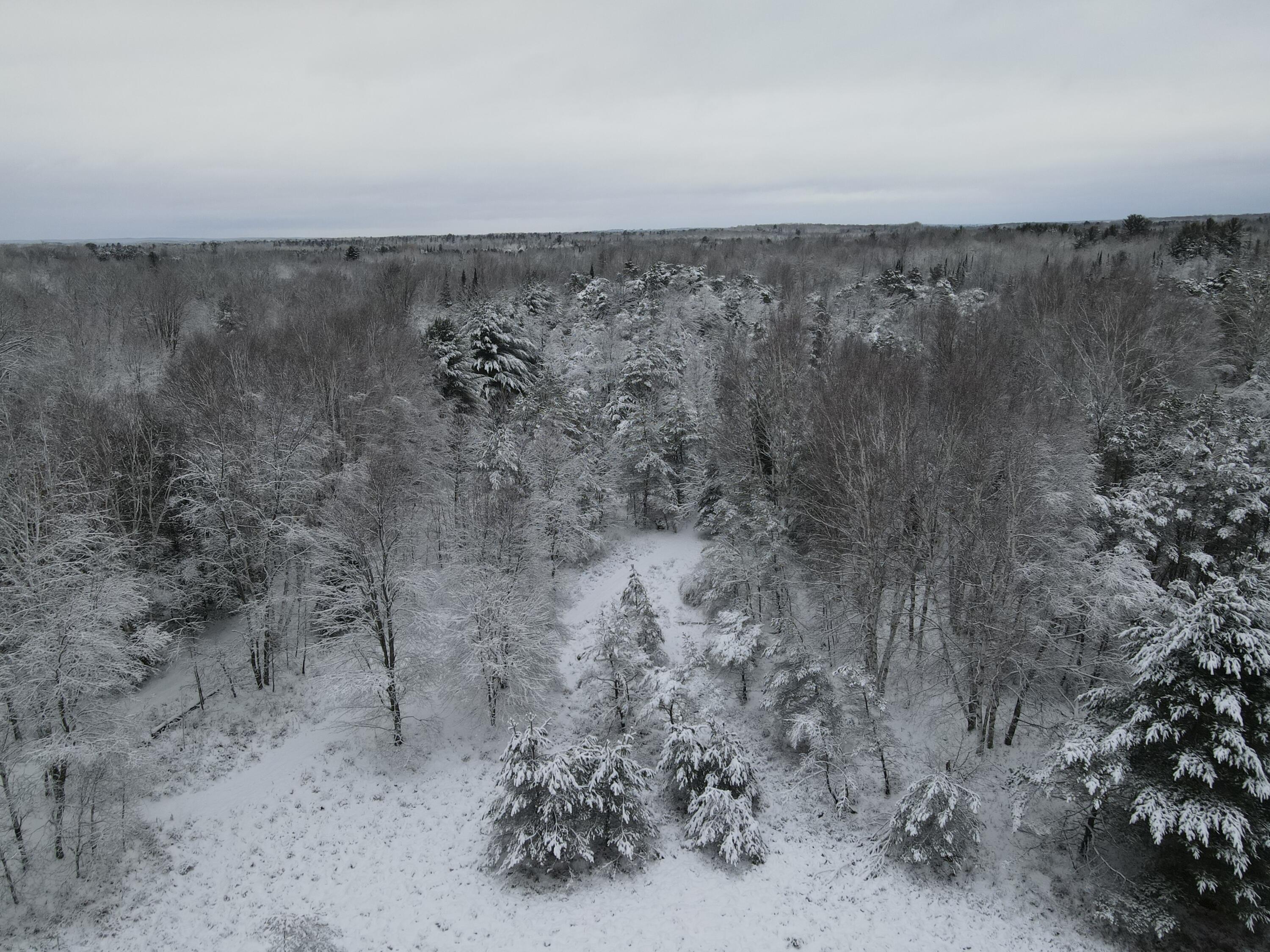 3301 Wissmiller Road Mikado, MI 48745 - Photo 19 of 47 DJI_0994