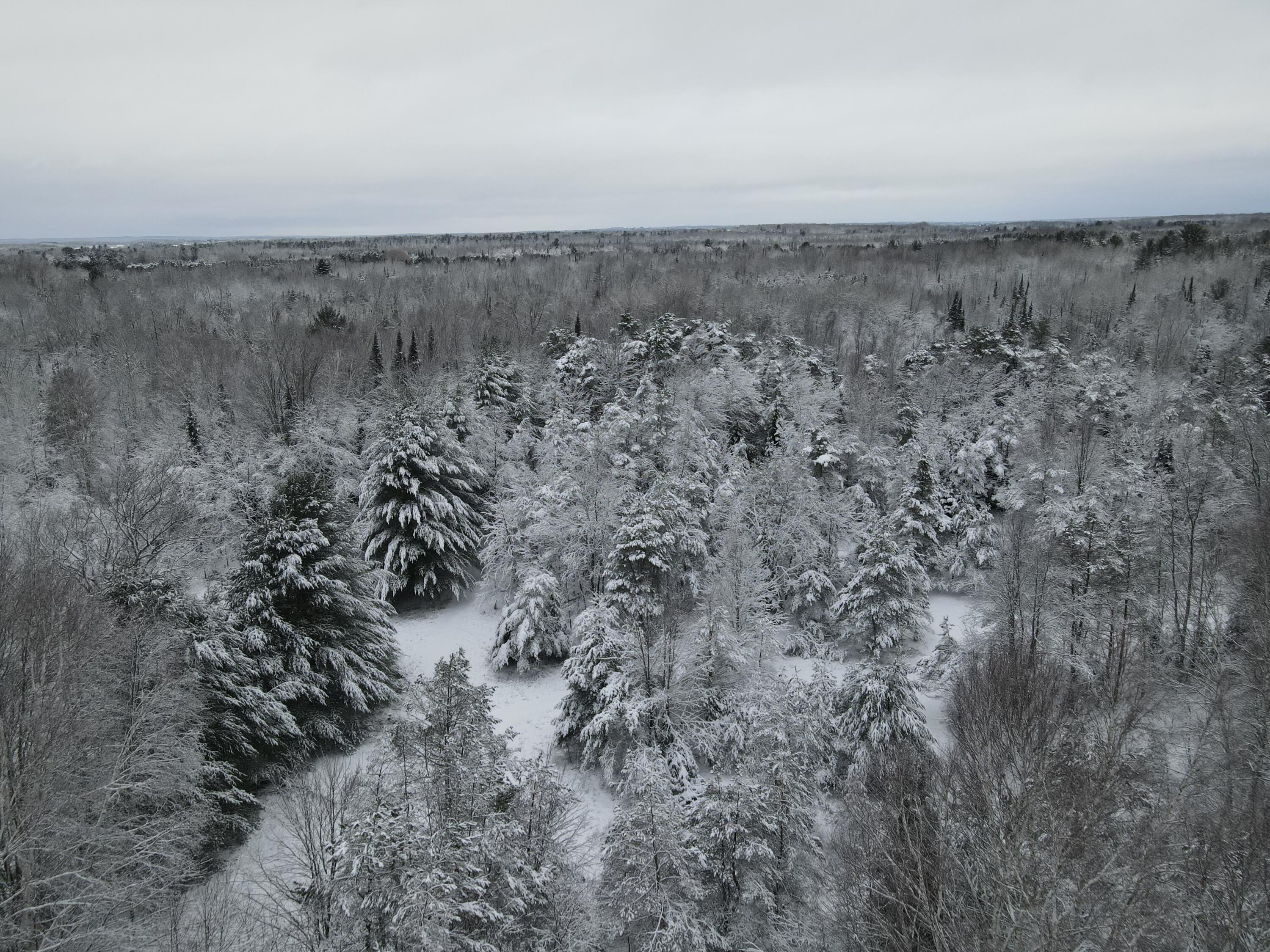 3301 Wissmiller Road Mikado, MI 48745 - Photo 20 of 47 DJI_0995