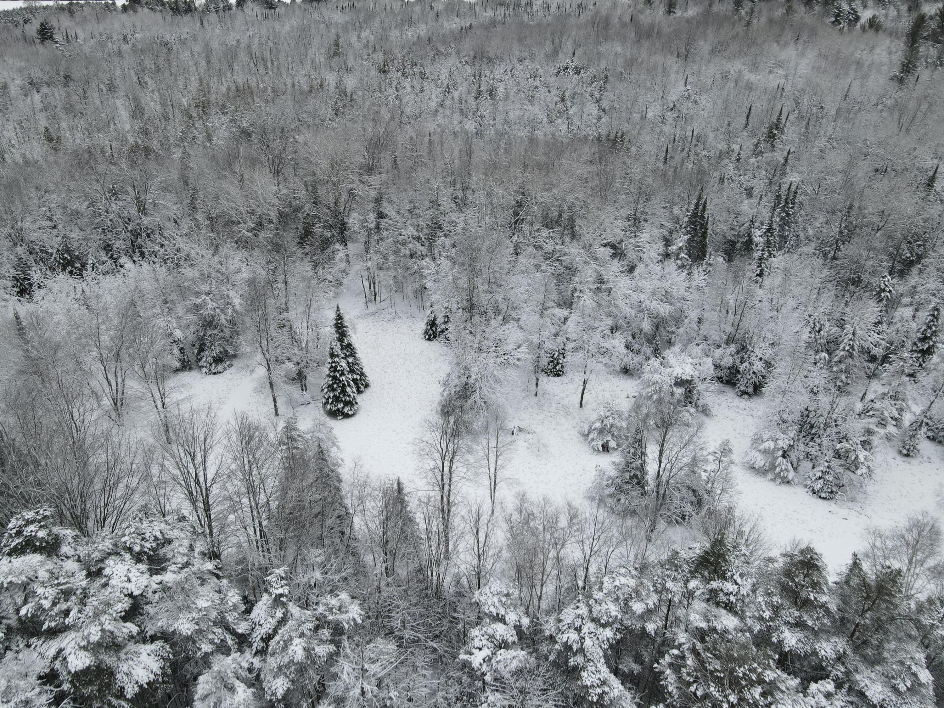 3301 Wissmiller Road Mikado, MI 48745 - Photo 23 of 47 DJI_0998
