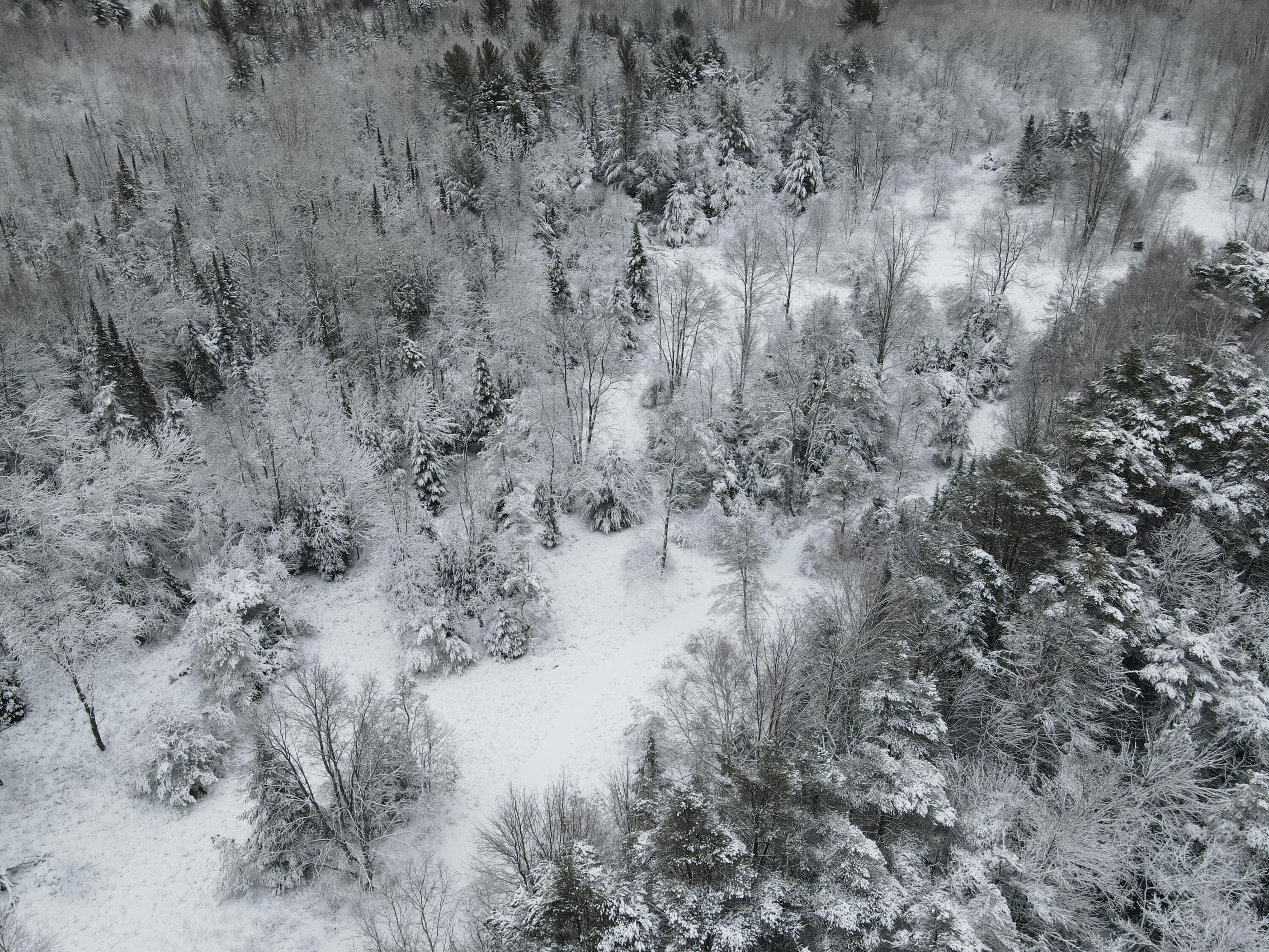 3301 Wissmiller Road Mikado, MI 48745 - Photo 24 of 47 DJI_0999