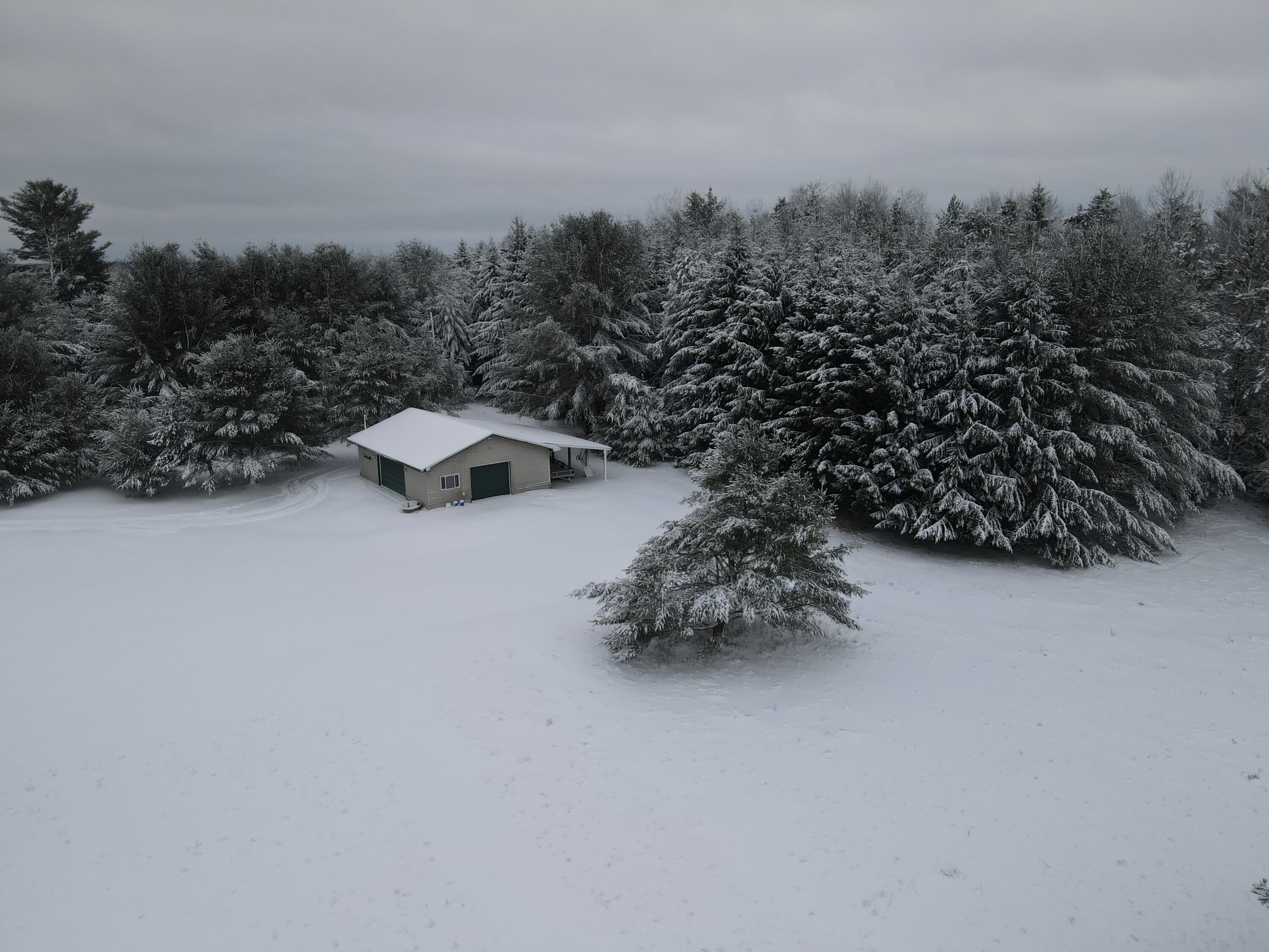 3301 Wissmiller Road Mikado, MI 48745 - Photo 3 of 47 DJI_0007