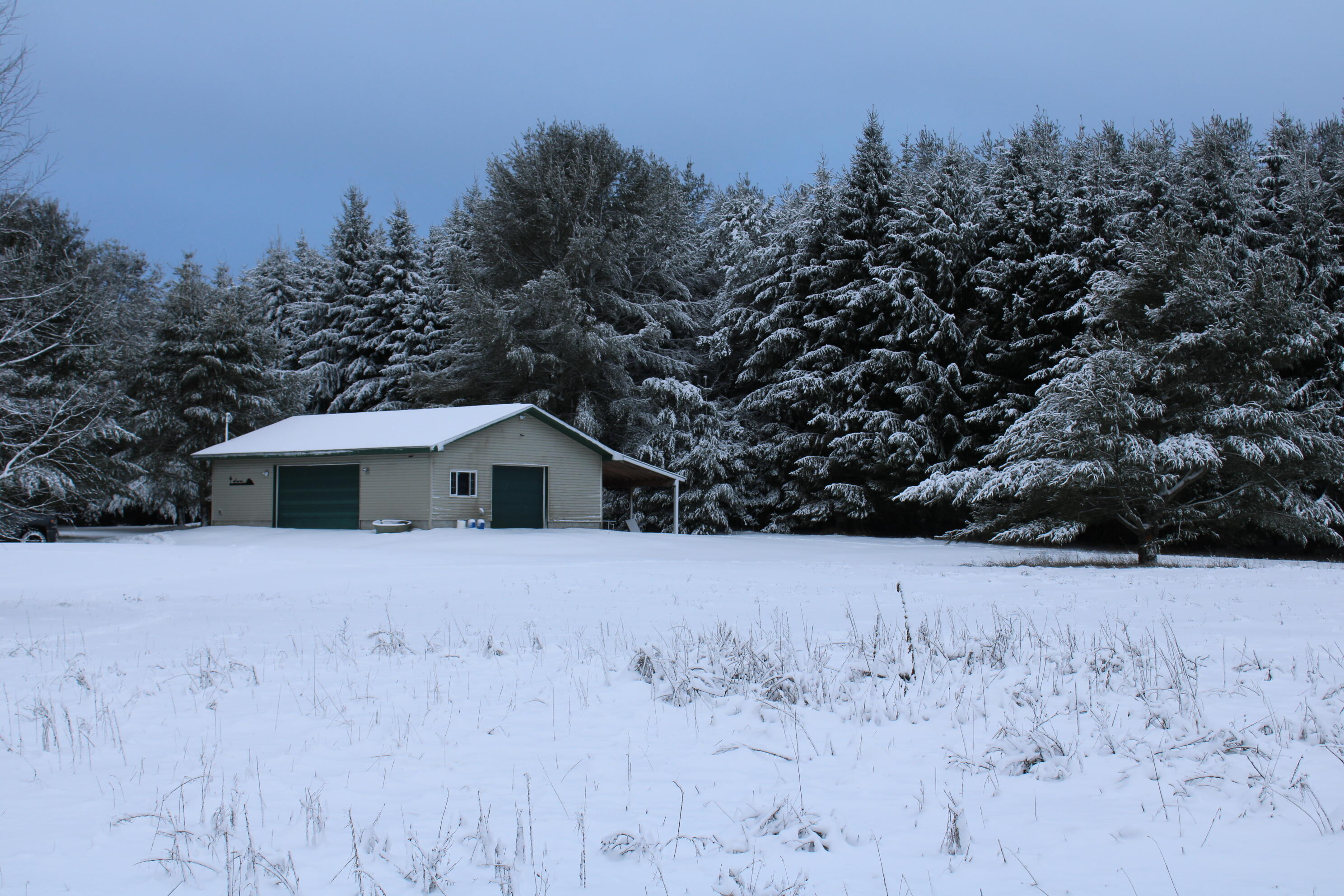 3301 Wissmiller Road Mikado, MI 48745 - Photo 9 of 47 IMG_2780