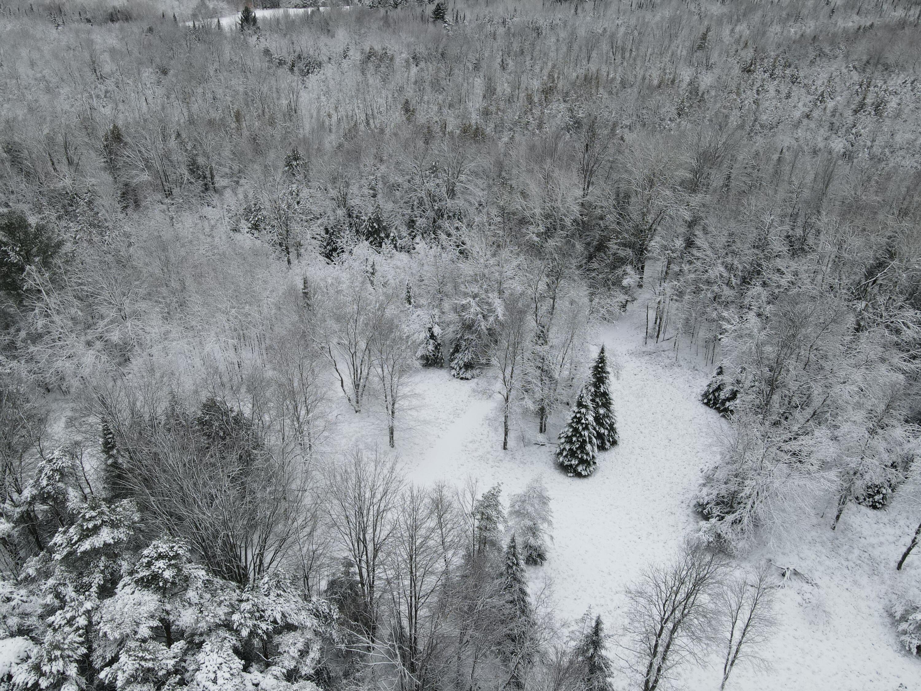 3301 Wissmiller Road Mikado, MI 48745 - Photo 10 of 47 DJI_0001
