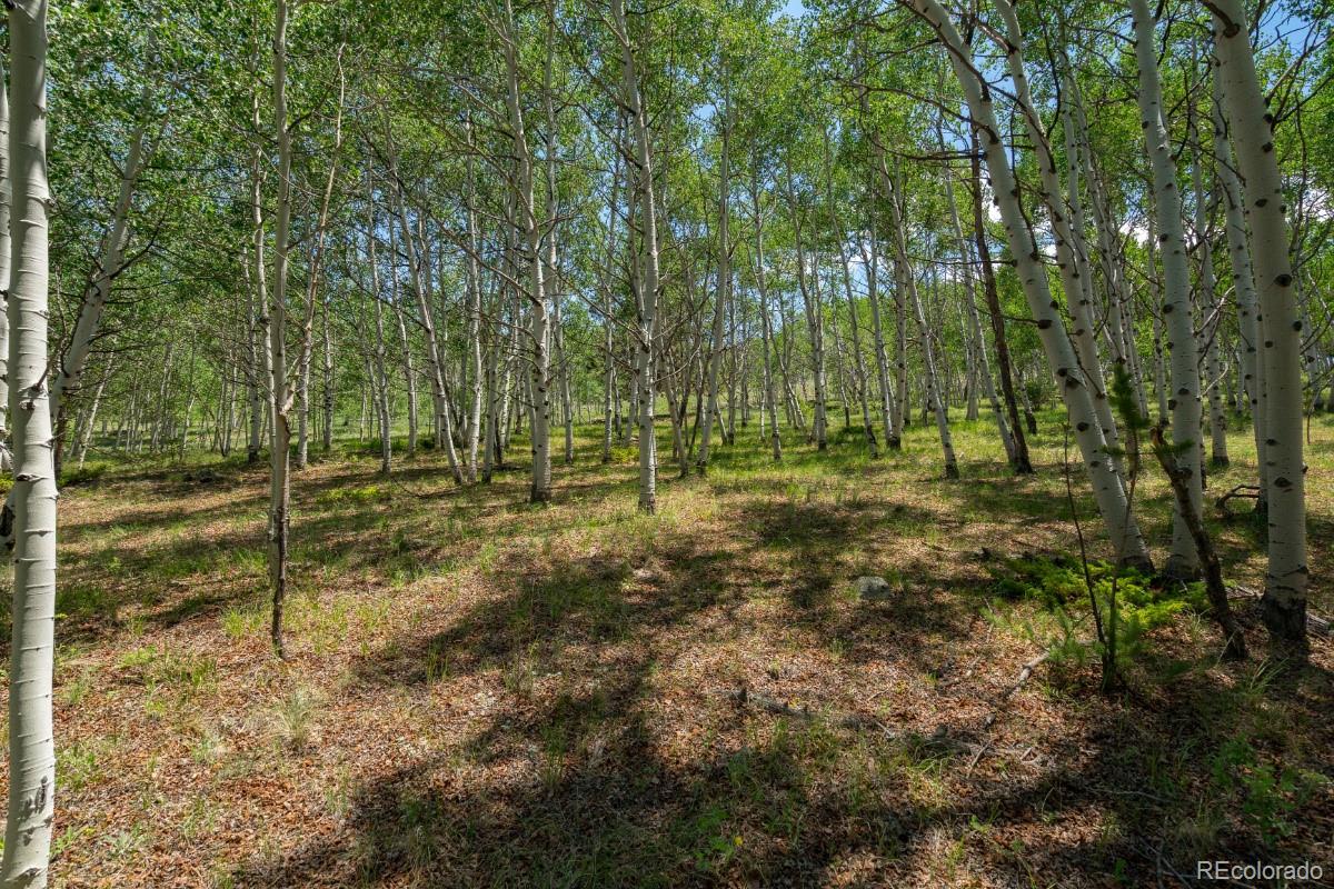 Lot 2167 Caddo Road Hartsel, CO 80449 - Photo 12 of 16 Gallery Image 12