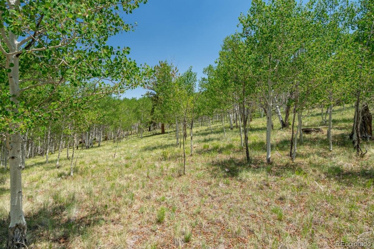 Lot 2167 Caddo Road Hartsel, CO 80449 - Photo 8 of 16 Gallery Image 8