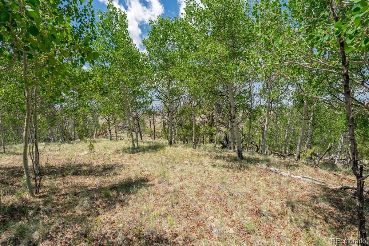 Lot 2167 Caddo Road Hartsel, CO 80449 - Photo 9 of 16 Gallery Image 9