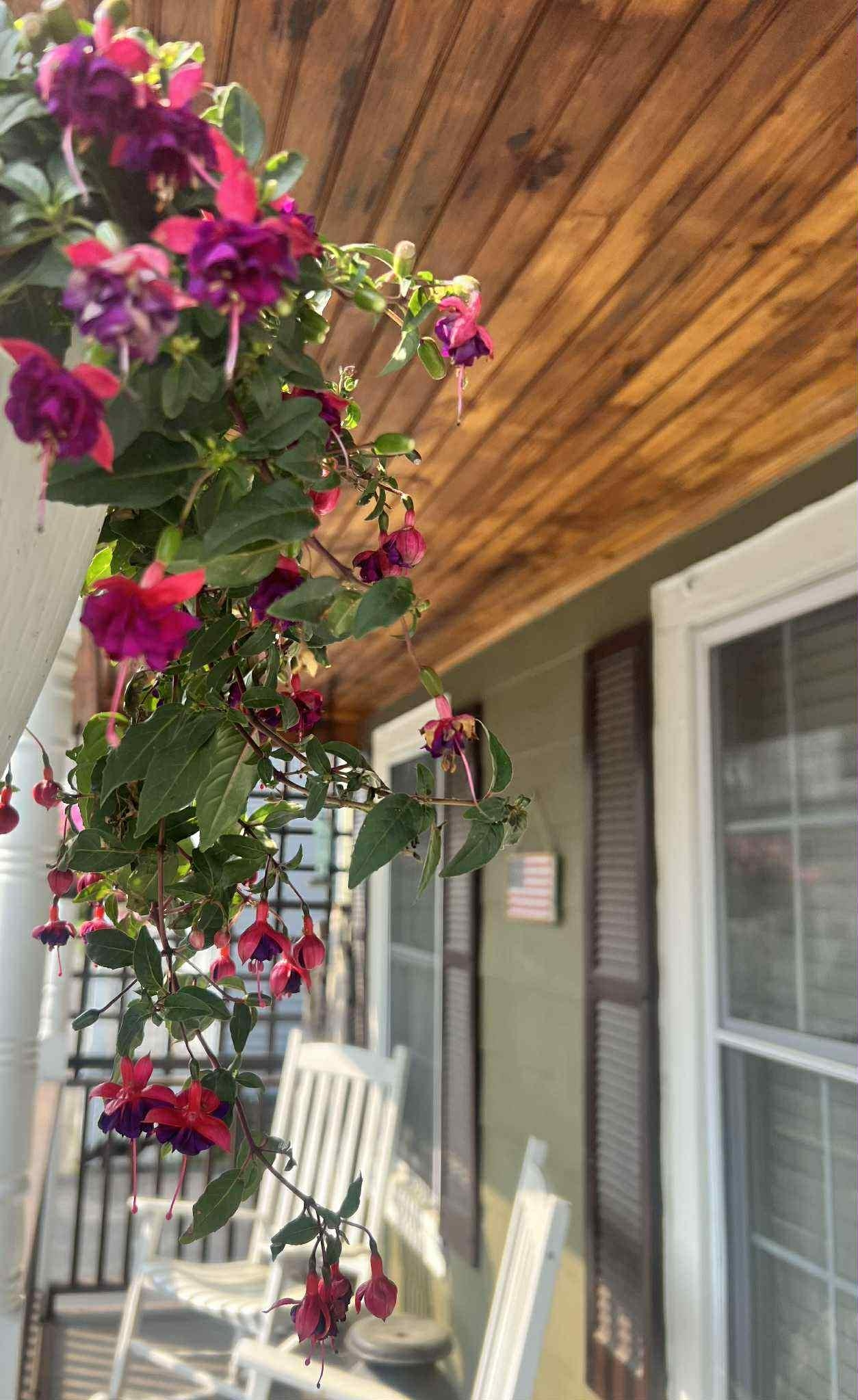 12 Laurel Avenue Rockingham, VT 05101 - Photo 2 of 21