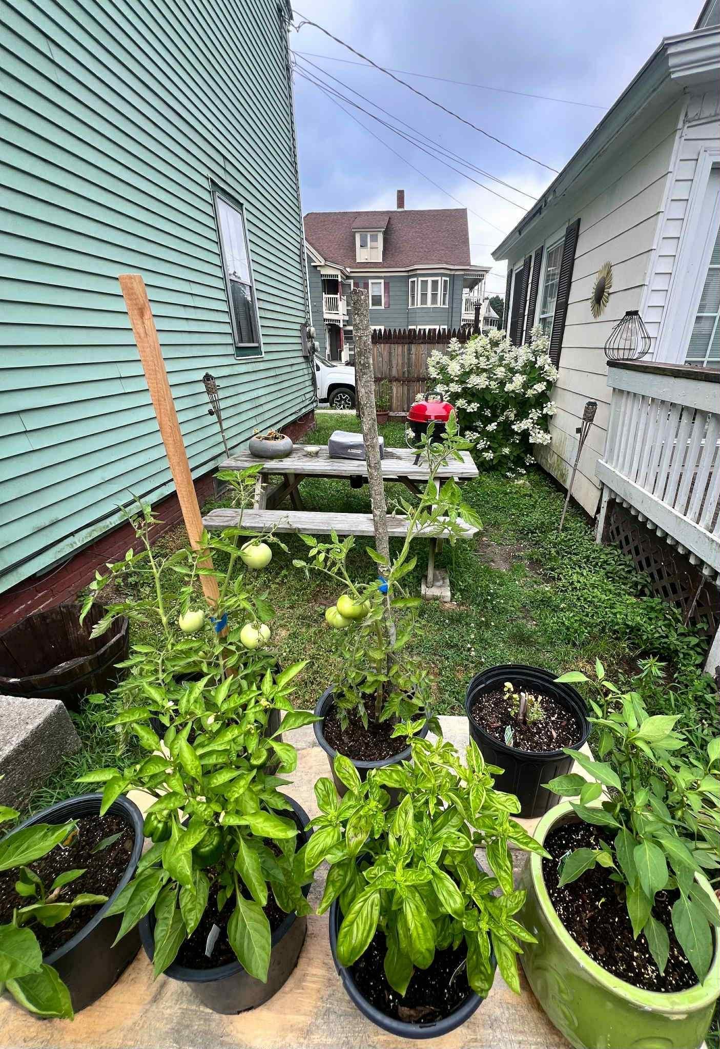 12 Laurel Avenue Rockingham, VT 05101 - Photo 7 of 21