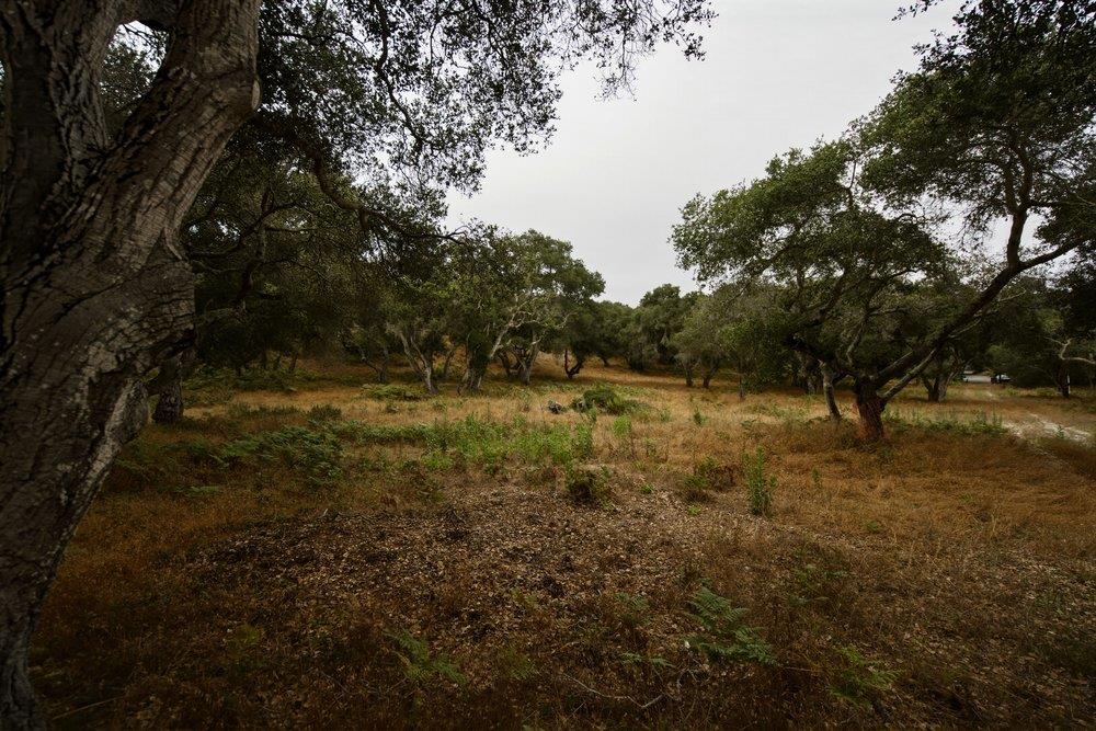 0 Valle Pacifico Road Salinas, CA 93907 - Photo 13 of 45