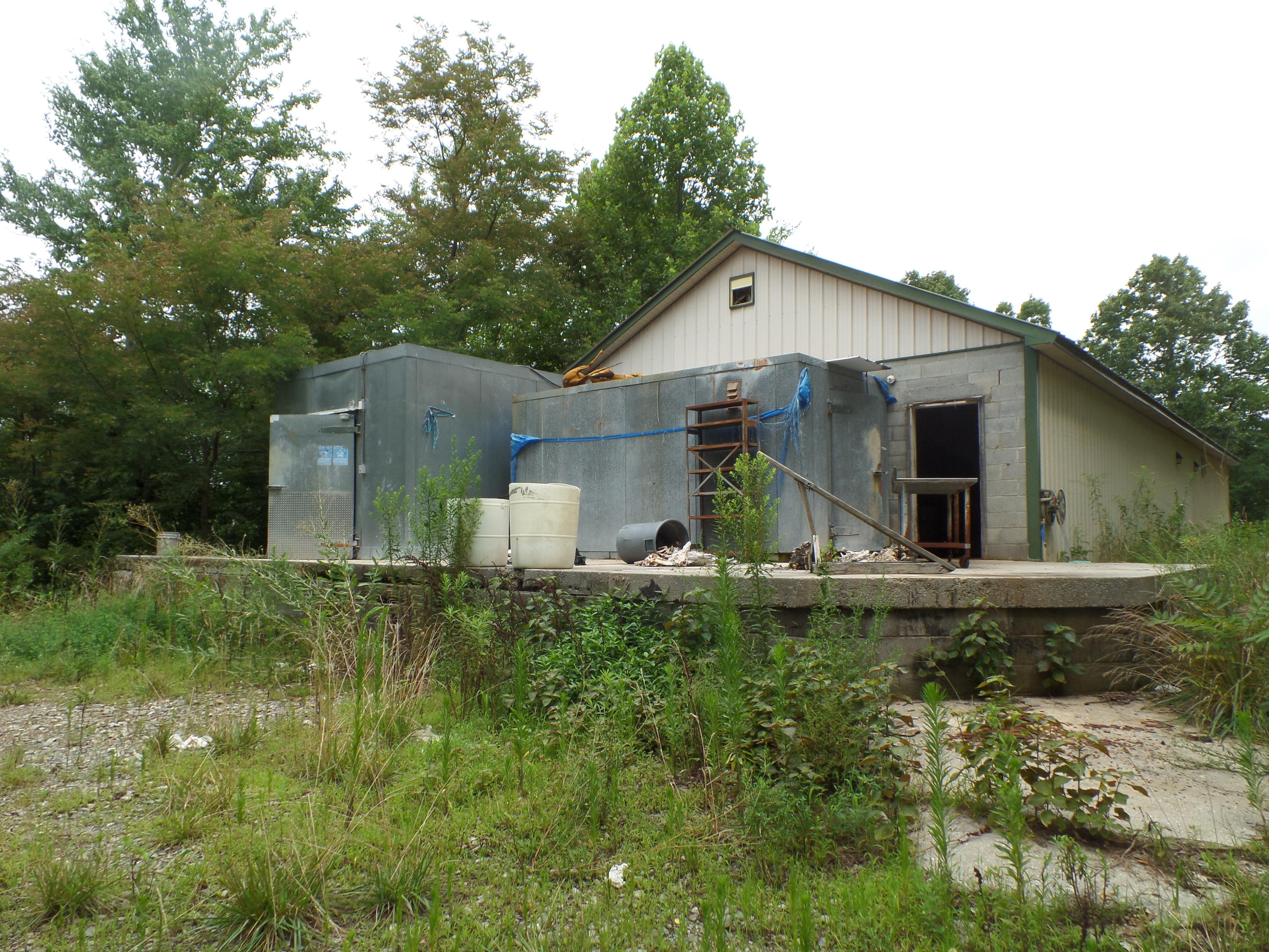 1410 Buckner Road Monterey, TN 38574 - Photo 12 of 14 SAM_8443