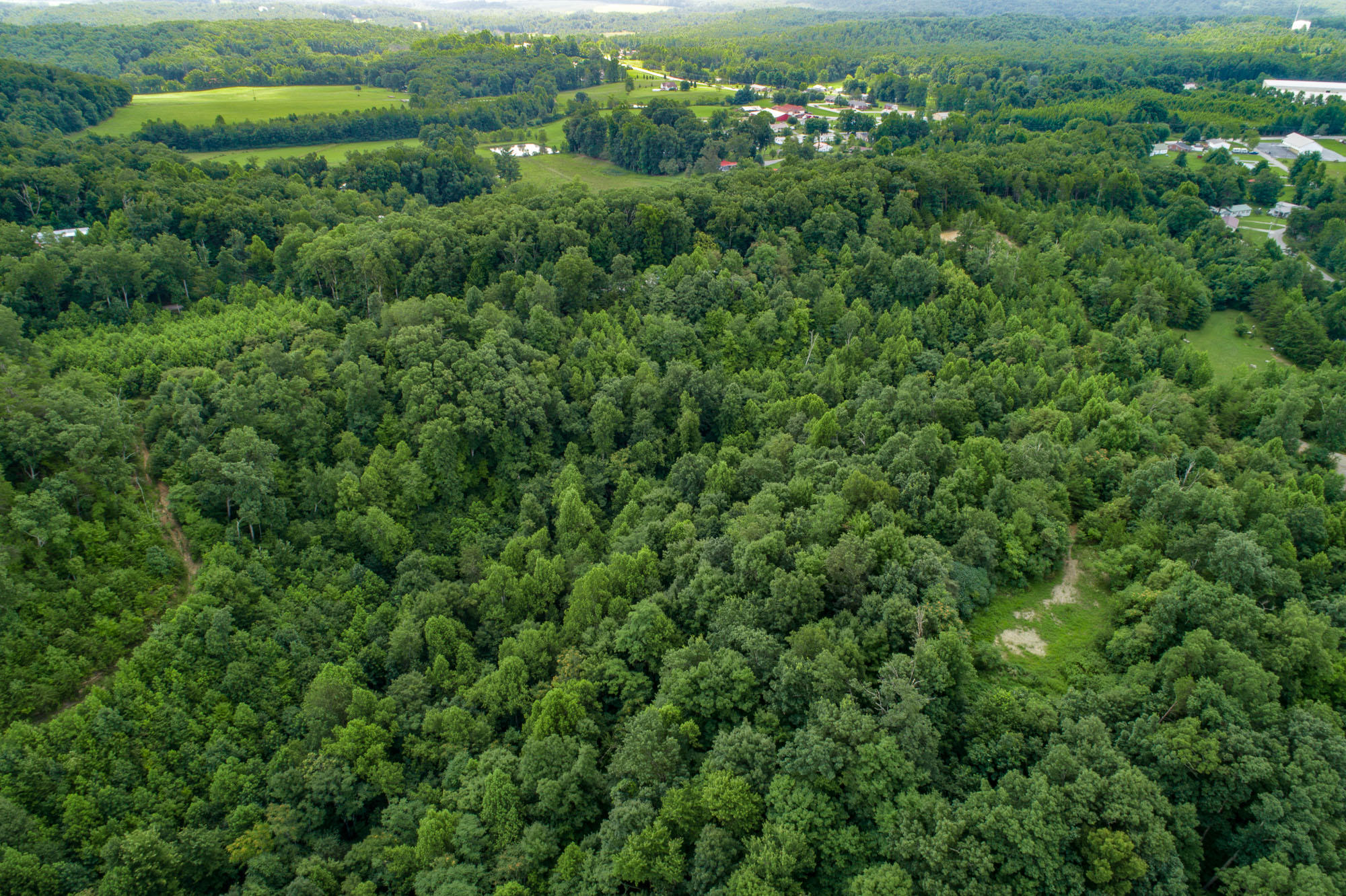1410 Buckner Road Monterey, TN 38574 - Photo 8 of 14 Aerials-4