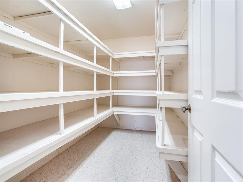 18120 Wayne Road Odessa, FL 33556 - Photo 42 of 100 a view of walk in closet with empty racks