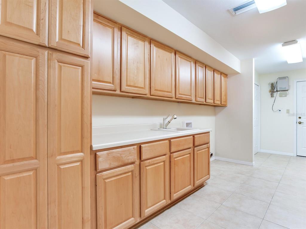 18120 Wayne Road Odessa, FL 33556 - Photo 43 of 100