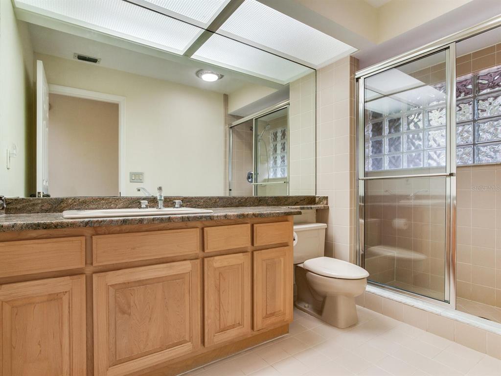 18120 Wayne Road Odessa, FL 33556 - Photo 66 of 100 a bathroom with a granite countertop sink toilet and shower