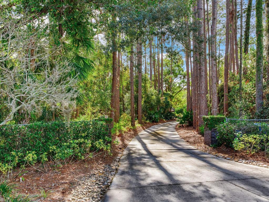 18120 Wayne Road Odessa, FL 33556 - Photo 8 of 100