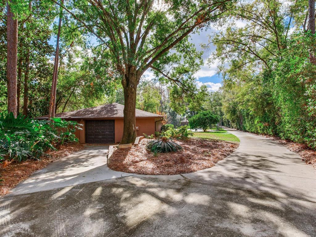 18120 Wayne Road Odessa, FL 33556 - Photo 9 of 100