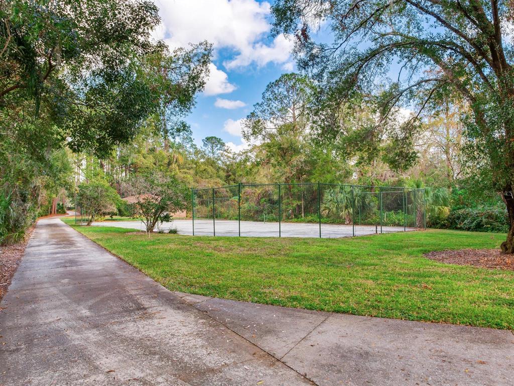 18120 Wayne Road Odessa, FL 33556 - Photo 98 of 100 a view of a park with large trees
