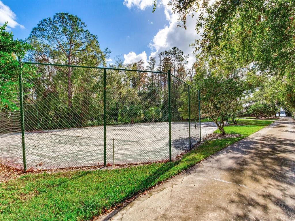 18120 Wayne Road Odessa, FL 33556 - Photo 99 of 100