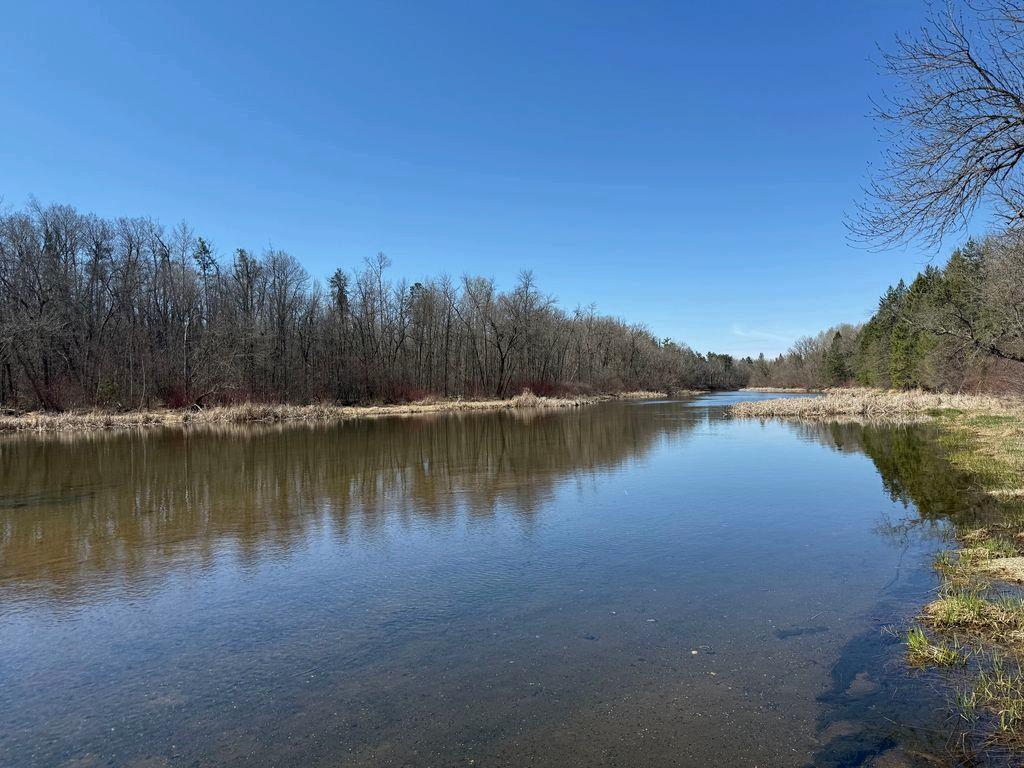 21641 Duck Lake Road Park Rapids, MN 56470 - Photo 11 of 48
