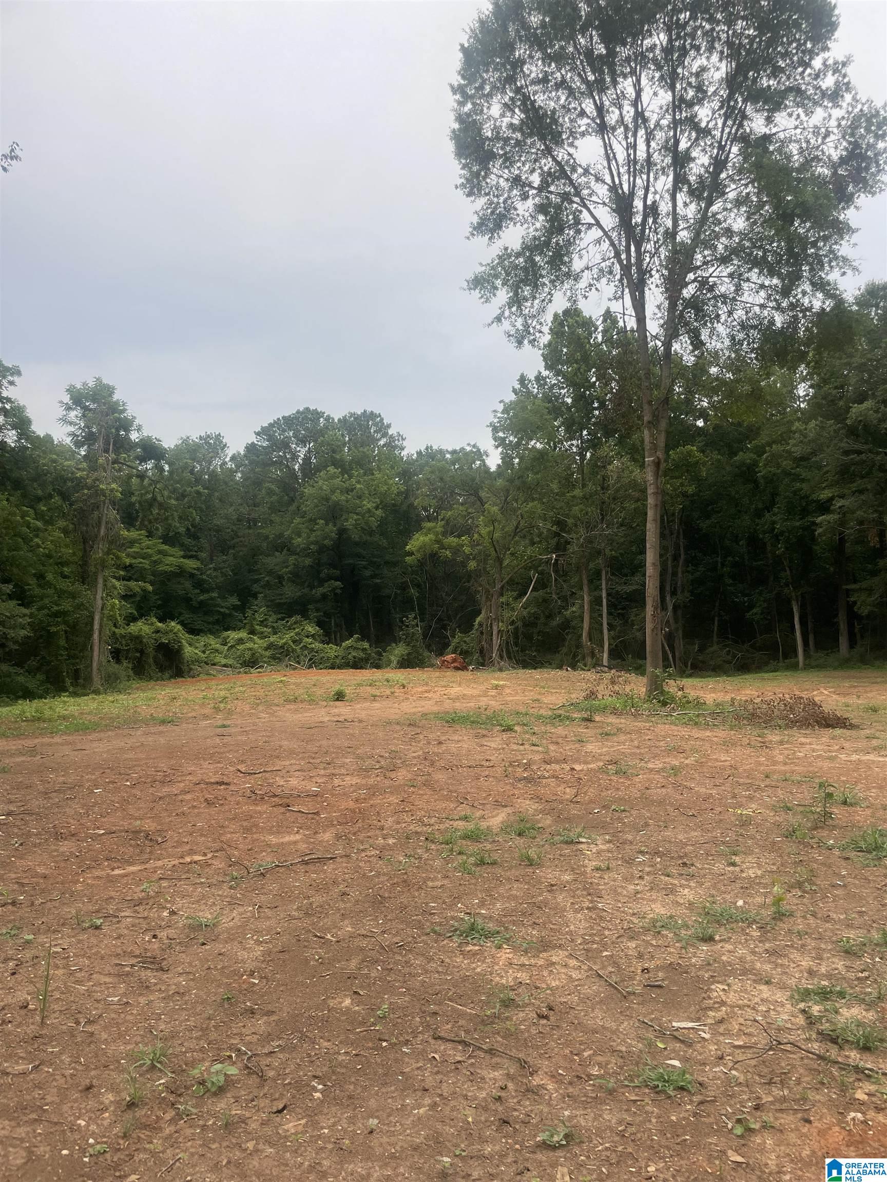 1444 Main Street, Unit CLEARED Roanoke, AL 36274 - Photo 3 of 5