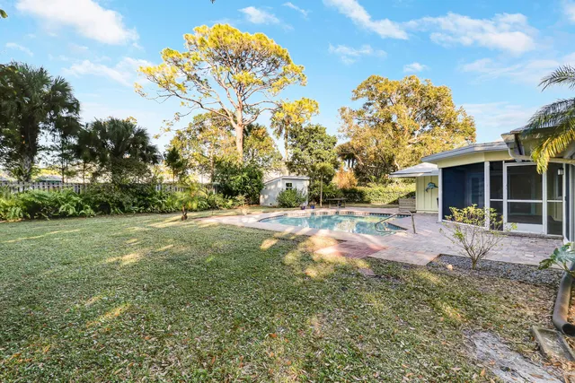 a view of a tree in a yard