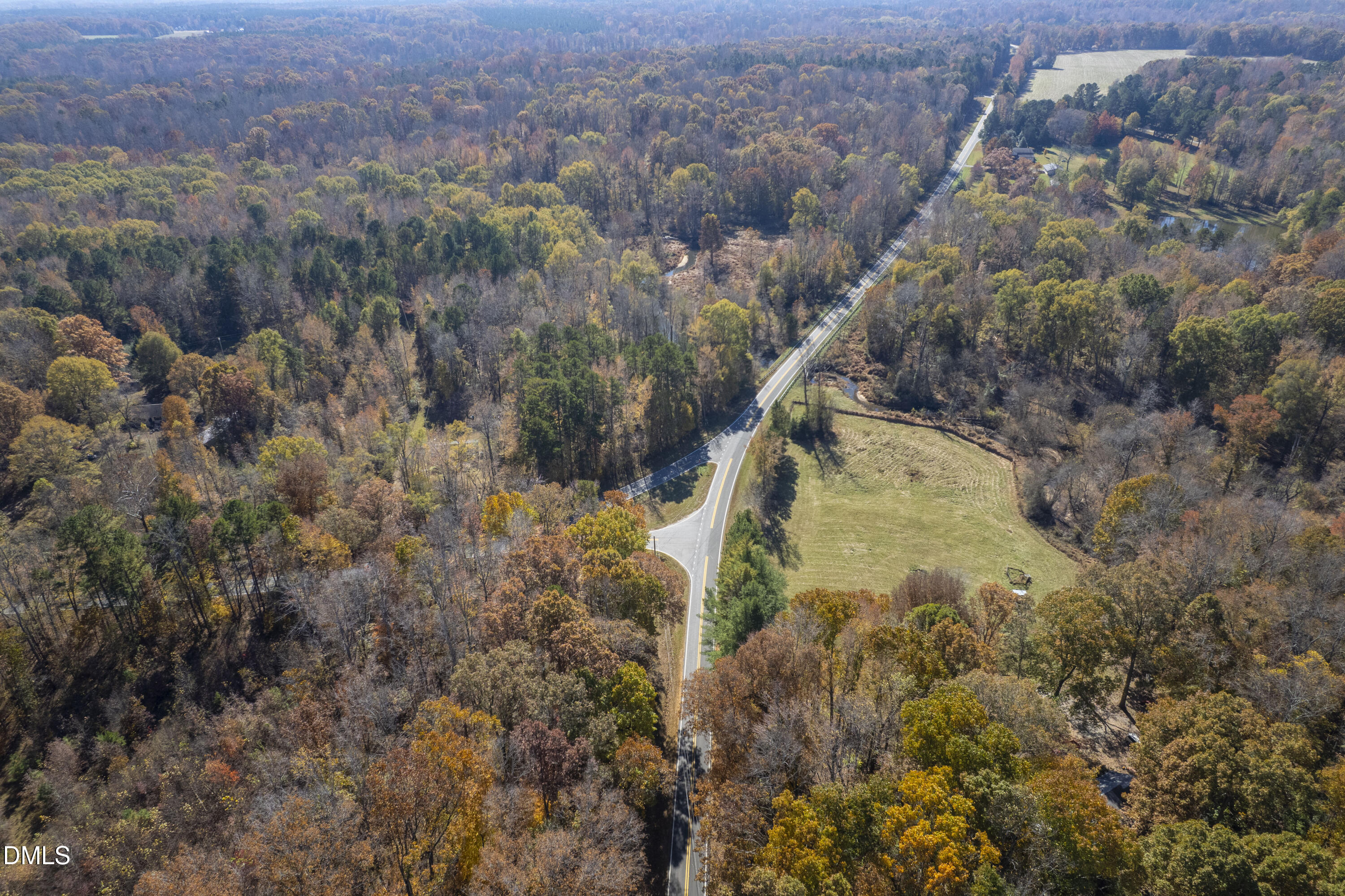 1-3 Walnut Grove Hurdle Mills, NC 27541 - Photo 11 of 40 a view of a forest with a forest