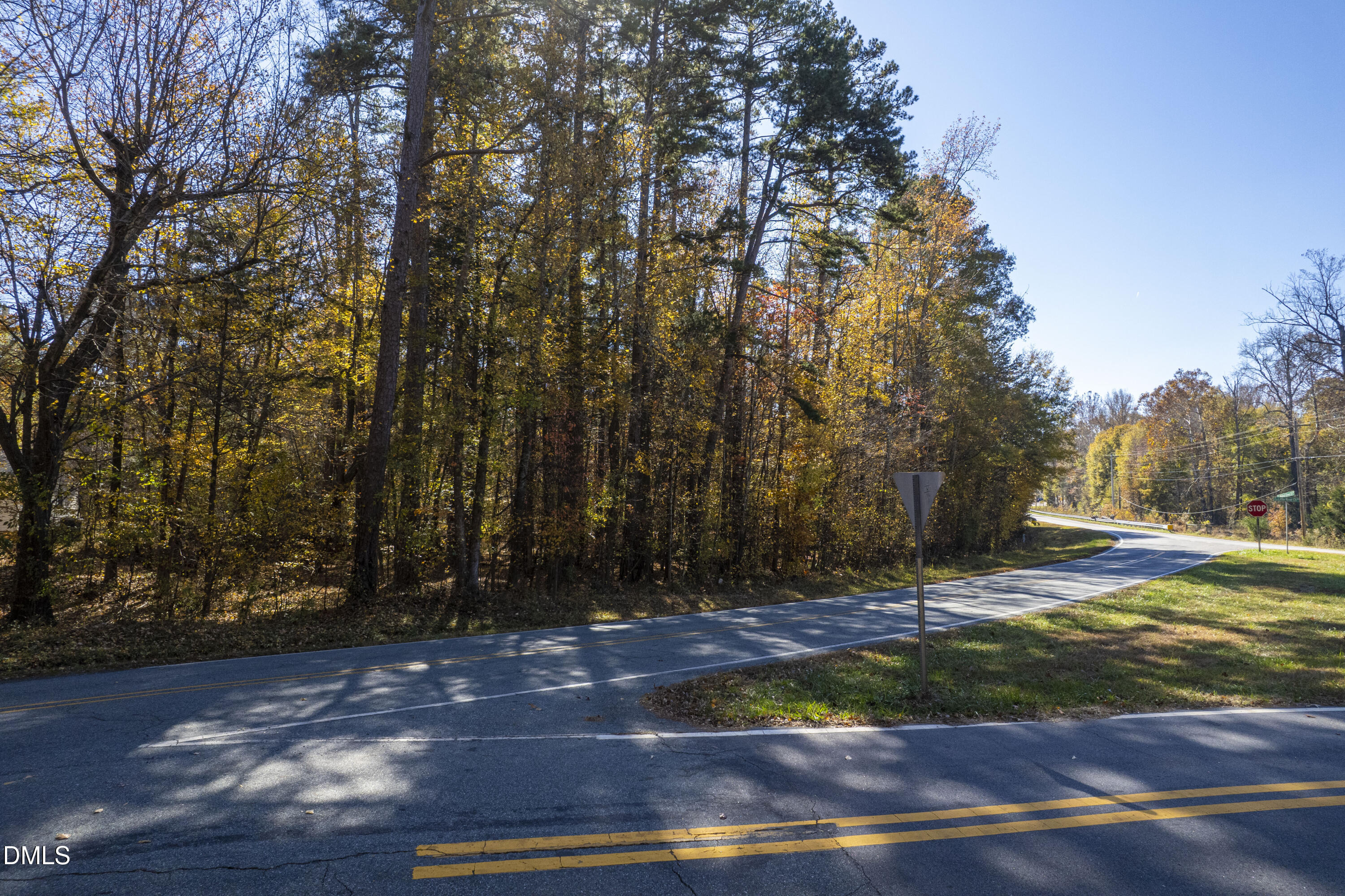 1-3 Walnut Grove Hurdle Mills, NC 27541 - Photo 21 of 40 a view of backyard with green space